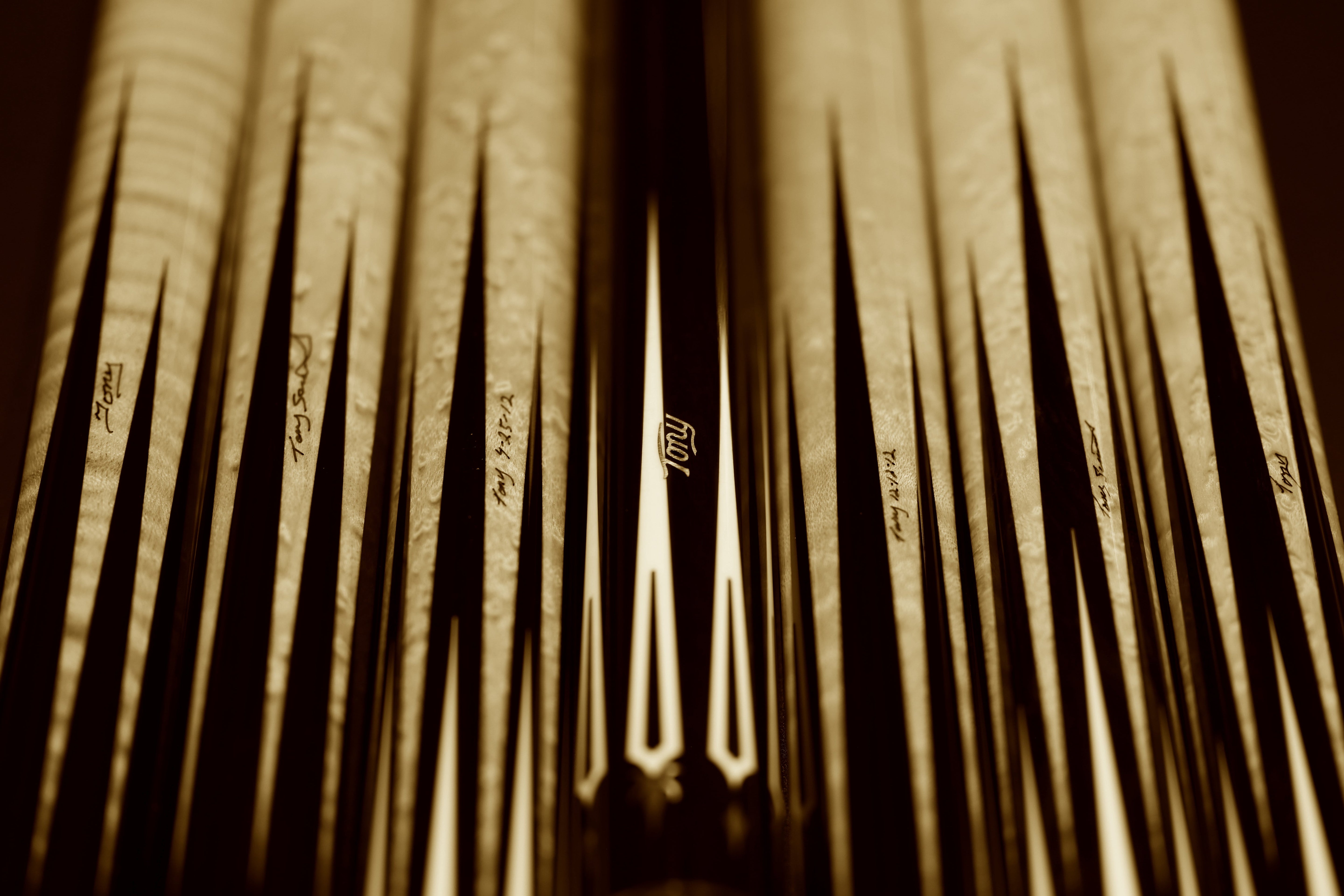 Black Boar Cues